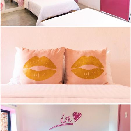 Hotel Suculenta Boutique San Cristóbal de Las Casas Eksteriør bilde