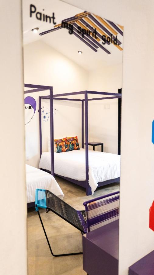 Hotel Suculenta Boutique San Cristóbal de Las Casas Eksteriør bilde